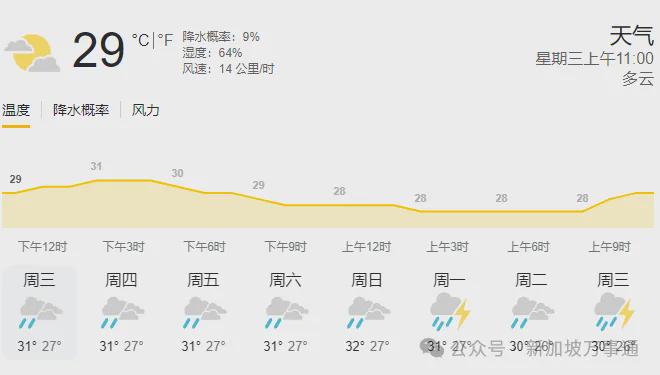 ！大树连根拔起、车辆被砸、有人受伤…凯发k8国际娱乐首选中秋夜突袭新加坡(图3)